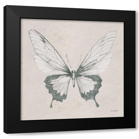 Soft Summer Sketches V Black Modern Wood Framed Art Print with Double Matting by Wiens, James