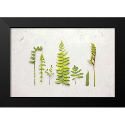 Flat Lay Ferns II Black Modern Wood Framed Art Print by Bradley, Felicity