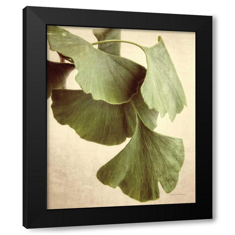 Gingko Color Black Modern Wood Framed Art Print by Van Swearingen, Debra