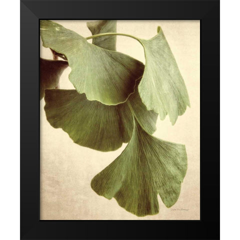 Gingko Color Black Modern Wood Framed Art Print by Van Swearingen, Debra