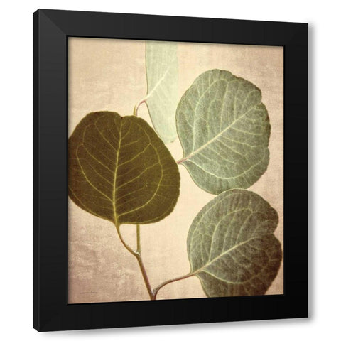 Eucalyptus Color Black Modern Wood Framed Art Print by Van Swearingen, Debra