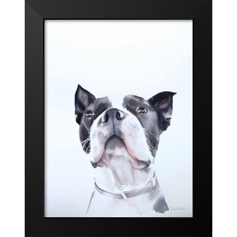 Bird Watching Black Modern Wood Framed Art Print by Valle, Aimee Del