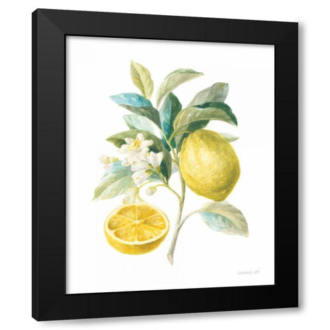 Floursack Lemon III on White Black Modern Wood Framed Art Print with Double Matting by Nai, Danhui