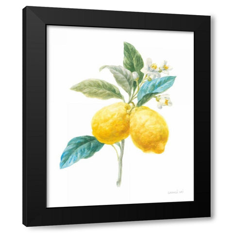 Floursack Lemon IV on White Black Modern Wood Framed Art Print with Double Matting by Nai, Danhui