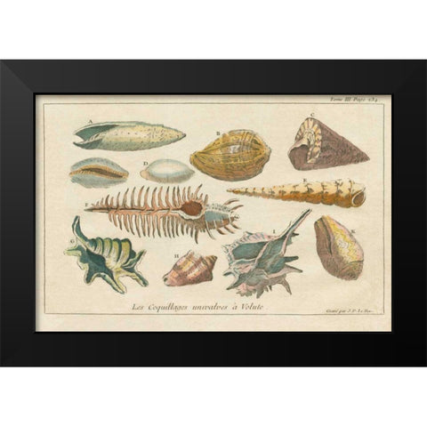 Shell Etchings II Black Modern Wood Framed Art Print by Wild Apple Portfolio