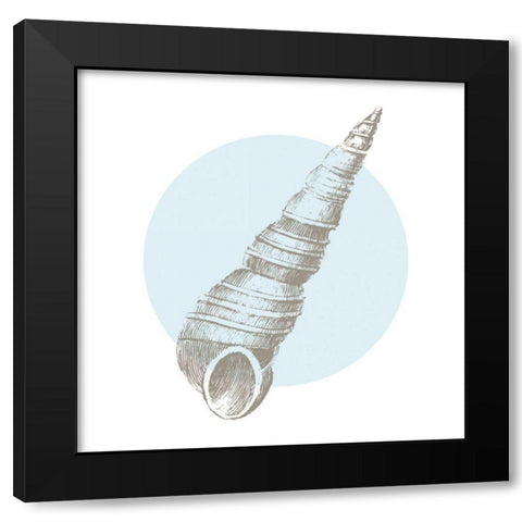 Conchology Sketches I Black Modern Wood Framed Art Print with Double Matting by Wild Apple Portfolio