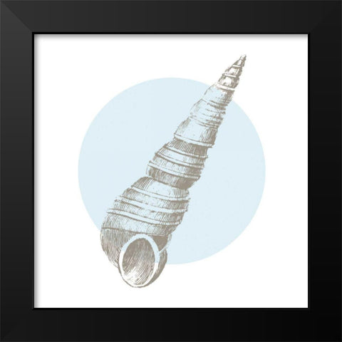 Conchology Sketches I Black Modern Wood Framed Art Print by Wild Apple Portfolio