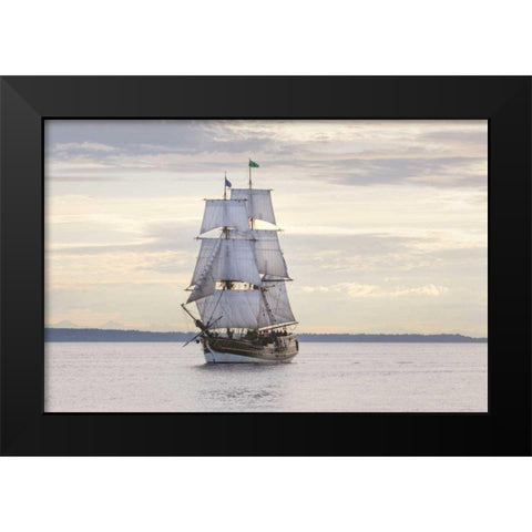 Lady Washington II Black Modern Wood Framed Art Print by Majchrowicz, Alan