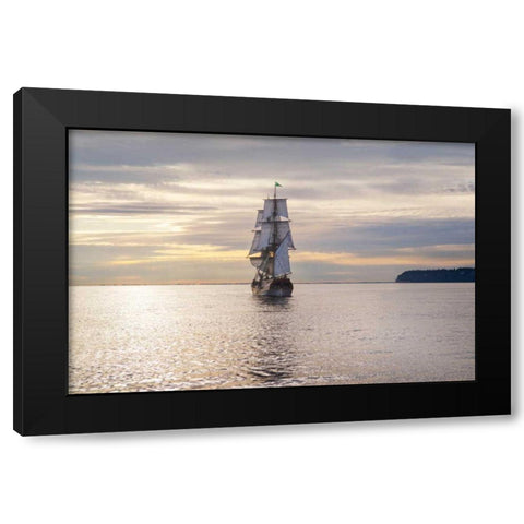 Lady Washington III Black Modern Wood Framed Art Print with Double Matting by Majchrowicz, Alan