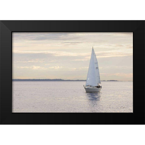 Sailboat in Semiahmoo Bay Black Modern Wood Framed Art Print by Majchrowicz, Alan
