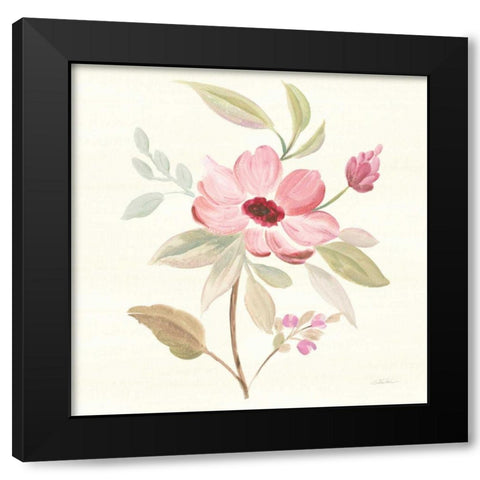 Petals and Blossoms VI Black Modern Wood Framed Art Print by Vassileva, Silvia