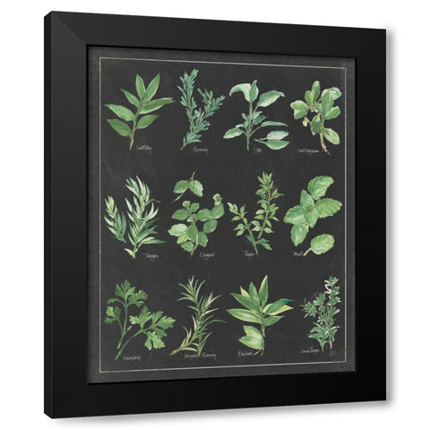 Herb Chart on Black White Border Black Modern Wood Framed Art Print by Paschke, Chris