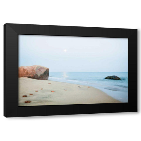 Coastal Rocks Black Modern Wood Framed Art Print by Aledanda