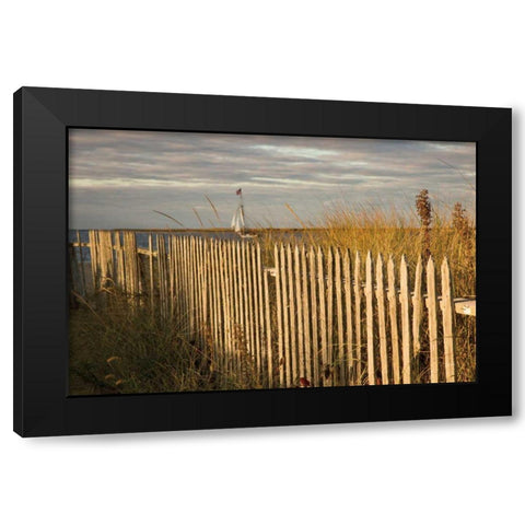 Along the Fence I Black Modern Wood Framed Art Print with Double Matting by Aledanda