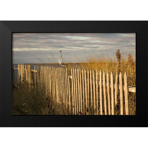 Along the Fence I Black Modern Wood Framed Art Print by Aledanda