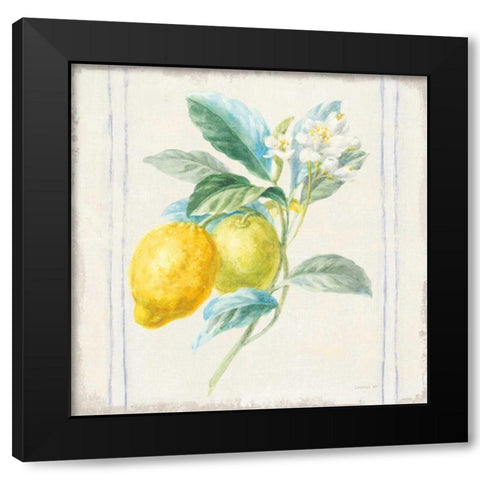 Floursack Lemons II Sq Navy Black Modern Wood Framed Art Print with Double Matting by Nai, Danhui