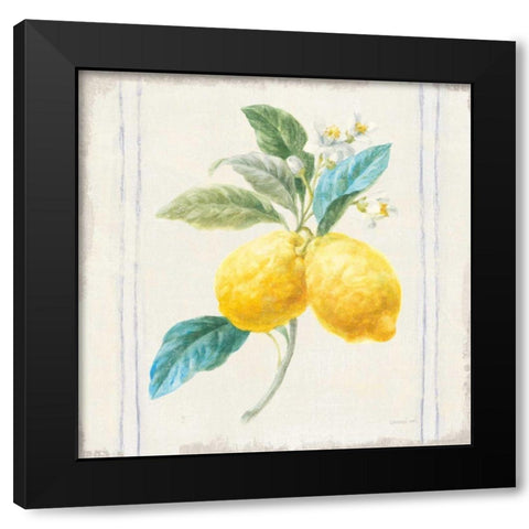 Floursack Lemons III Sq Navy Black Modern Wood Framed Art Print with Double Matting by Nai, Danhui