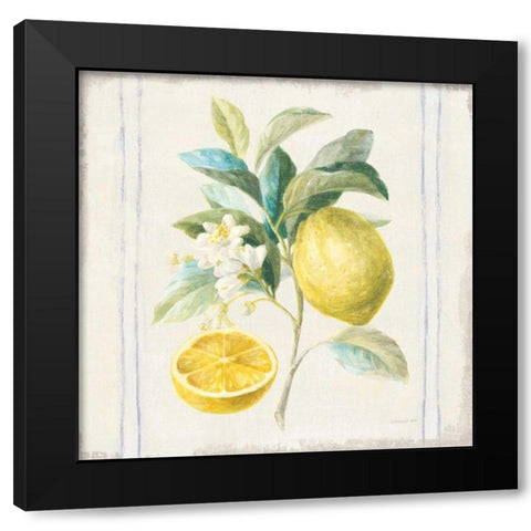 Floursack Lemons IV Sq Navy Black Modern Wood Framed Art Print with Double Matting by Nai, Danhui