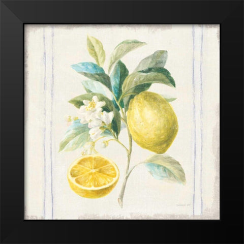 Floursack Lemons IV Sq Navy Black Modern Wood Framed Art Print by Nai, Danhui