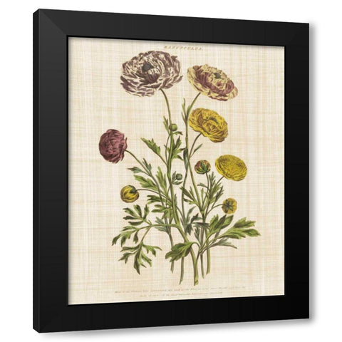 Herbal Botany XXII v2 Linen Crop Black Modern Wood Framed Art Print with Double Matting by Wild Apple Portfolio