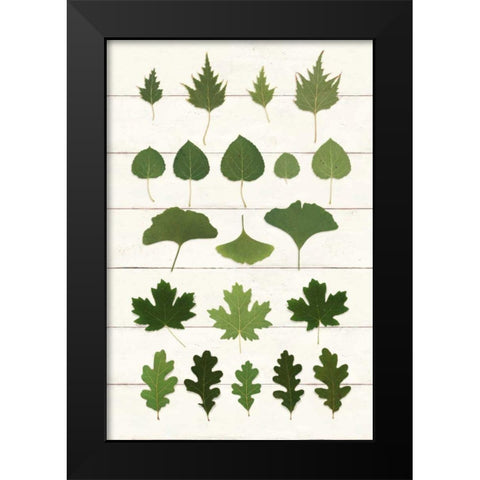 Leaf Chart I Shiplap Black Modern Wood Framed Art Print by Wild Apple Portfolio