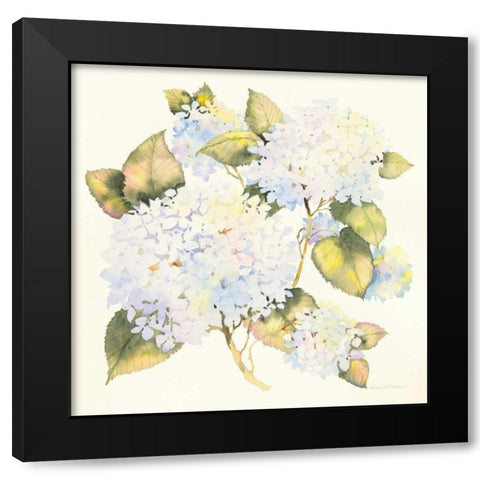 Hydrangeas Black Modern Wood Framed Art Print with Double Matting by McKenna, Kathleen Parr