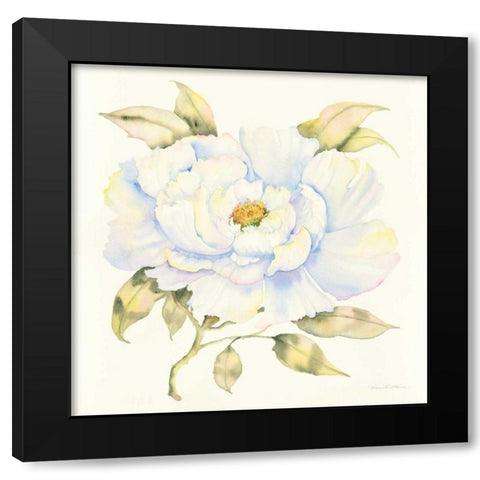 Peony Black Modern Wood Framed Art Print with Double Matting by McKenna, Kathleen Parr
