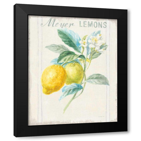 Floursack Lemon II v2 Black Modern Wood Framed Art Print with Double Matting by Nai, Danhui