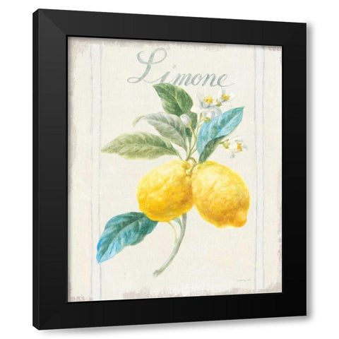 Floursack Lemon III v2 Black Modern Wood Framed Art Print with Double Matting by Nai, Danhui