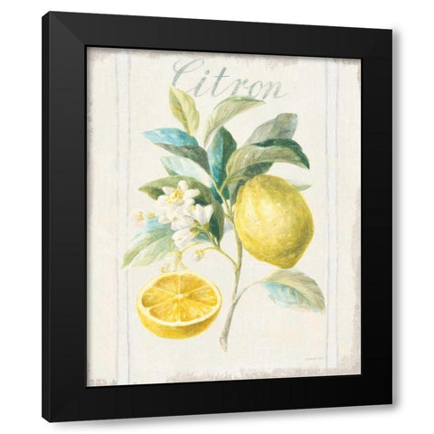 Floursack Lemon IV v2 Black Modern Wood Framed Art Print with Double Matting by Nai, Danhui