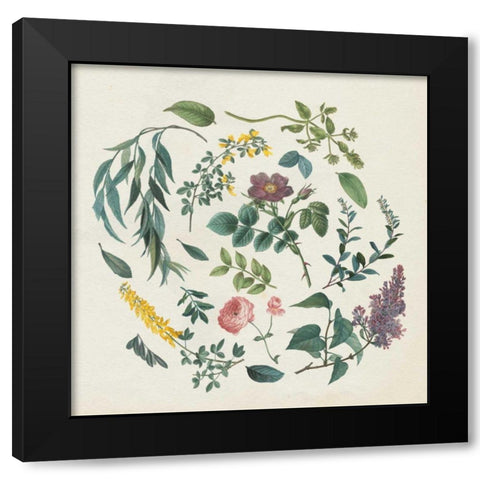 Victorian Garden I Black Modern Wood Framed Art Print with Double Matting by Wild Apple Portfolio