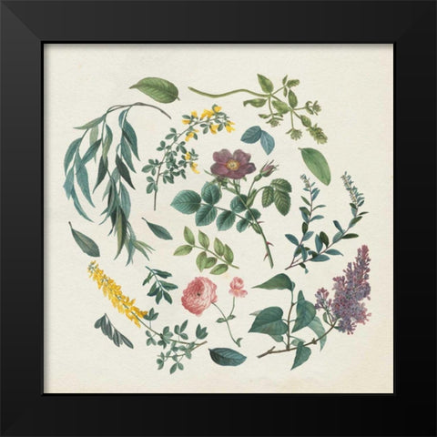 Victorian Garden I Black Modern Wood Framed Art Print by Wild Apple Portfolio