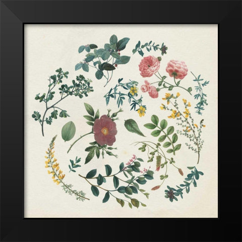 Victorian Garden II Black Modern Wood Framed Art Print by Wild Apple Portfolio