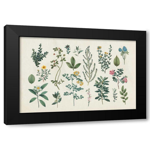 Victorian Garden III Black Modern Wood Framed Art Print by Wild Apple Portfolio