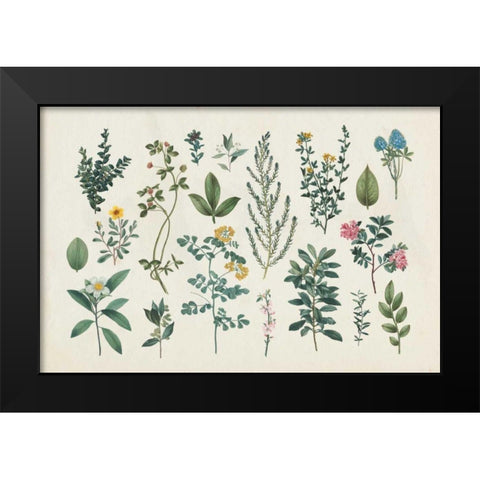 Victorian Garden III Black Modern Wood Framed Art Print by Wild Apple Portfolio