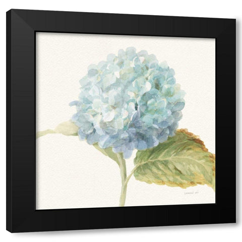 Floursack Florals V - Blue Hydrangea Crop Black Modern Wood Framed Art Print with Double Matting by Nai, Danhui