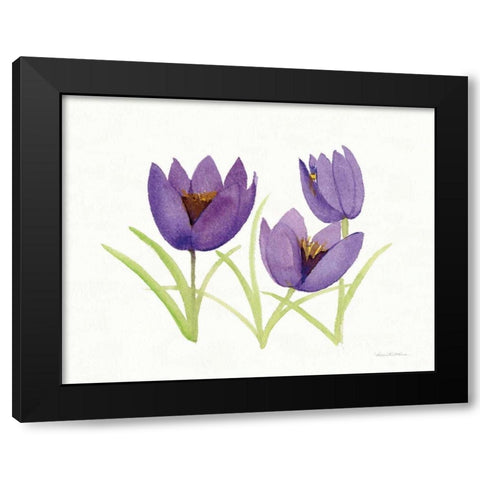 Easter Blessing Flowers VII Black Modern Wood Framed Art Print with Double Matting by McKenna, Kathleen Parr