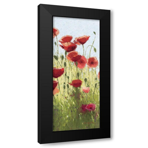 Mountain Poppies I - Wag Black Modern Wood Framed Art Print with Double Matting by Novak, Shirley