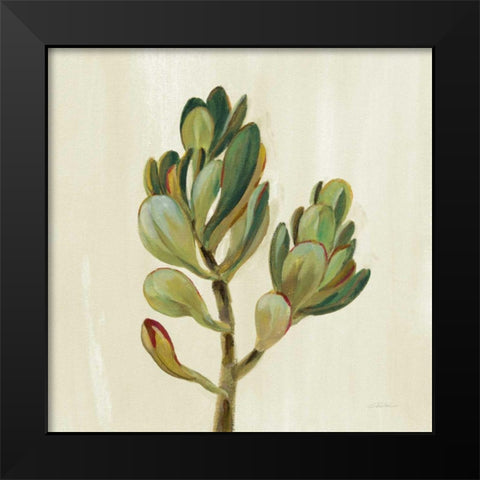 Front Yard Succulent II Black Modern Wood Framed Art Print by Vassileva, Silvia