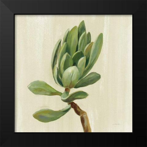 Front Yard Succulent III Black Modern Wood Framed Art Print by Vassileva, Silvia