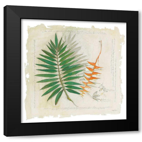 Botanical Study II Light Black Modern Wood Framed Art Print by Tillmon, Avery