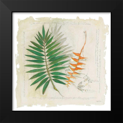 Botanical Study II Light Black Modern Wood Framed Art Print by Tillmon, Avery