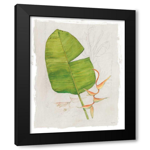 Botanical Journal I Light Black Modern Wood Framed Art Print by Tillmon, Avery