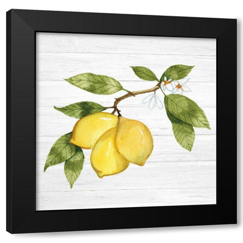 Citrus Garden I Shiplap Black Modern Wood Framed Art Print with Double Matting by McKenna, Kathleen Parr