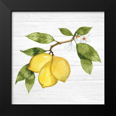 Citrus Garden I Shiplap Black Modern Wood Framed Art Print by McKenna, Kathleen Parr