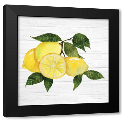 Citrus Garden VI Shiplap Black Modern Wood Framed Art Print with Double Matting by McKenna, Kathleen Parr