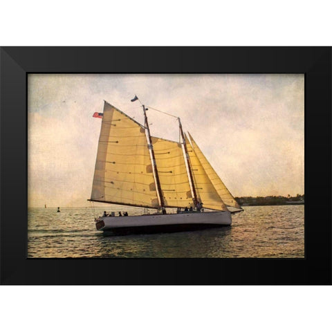 Morning Sail Black Modern Wood Framed Art Print by Van Swearingen, Debra