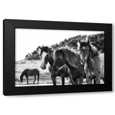 Horses Three Black Modern Wood Framed Art Print by Aledanda