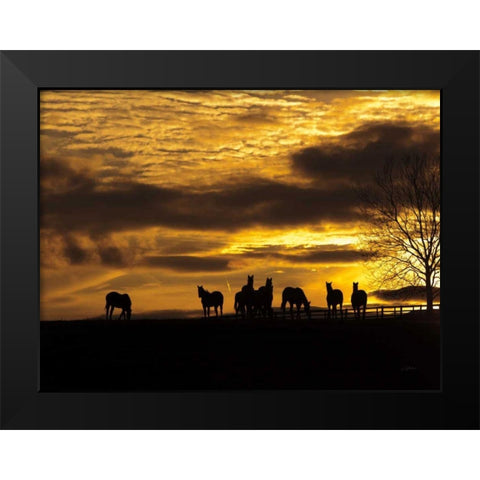 Horses at Sunset Black Modern Wood Framed Art Print by Aledanda