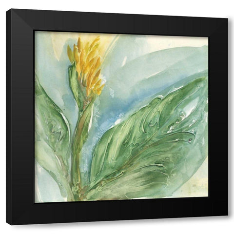 Exotic Flower II Black Modern Wood Framed Art Print with Double Matting by Paschke, Chris